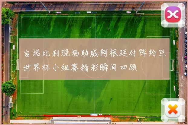 吉诺比利现场助威阿根廷对阵约旦世界杯小组赛精彩瞬间回顾