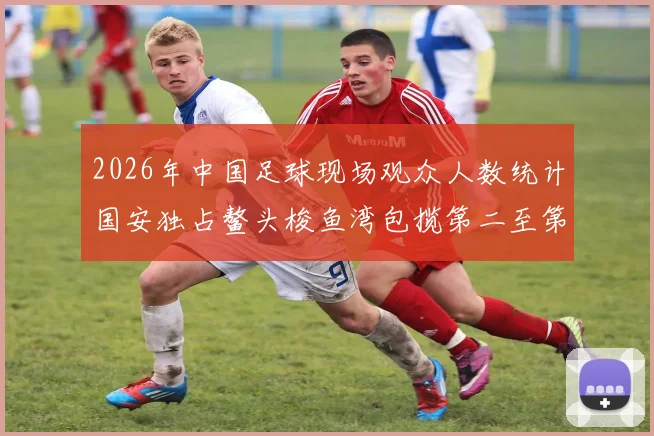 2026年中国足球现场观众人数统计国安独占鳌头梭鱼湾包揽第二至第七位