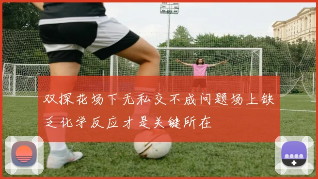 双探花场下无私交不成问题场上缺乏化学反应才是关键所在