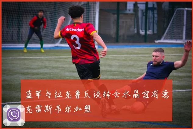蓝军与拉克鲁瓦谈转会水晶宫有意克雷斯韦尔加盟